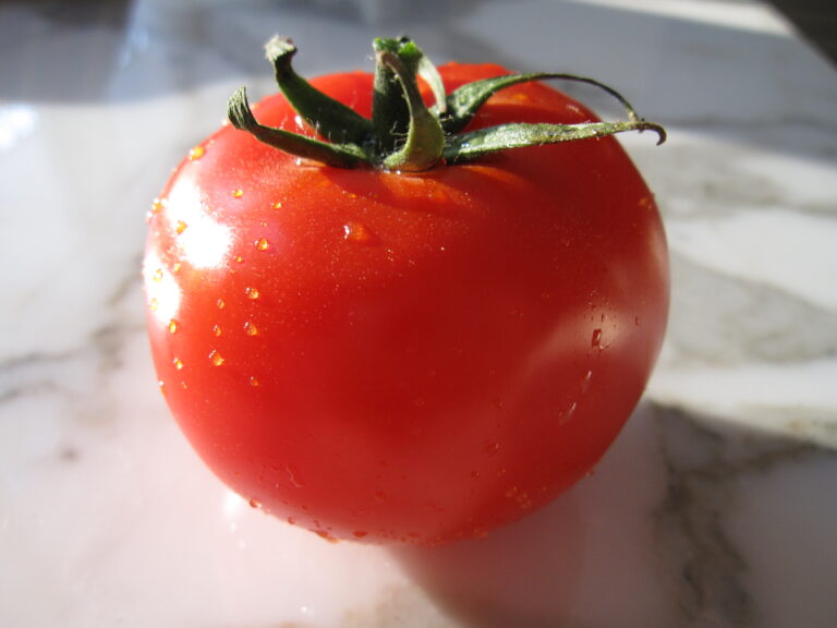 A perfect tomato